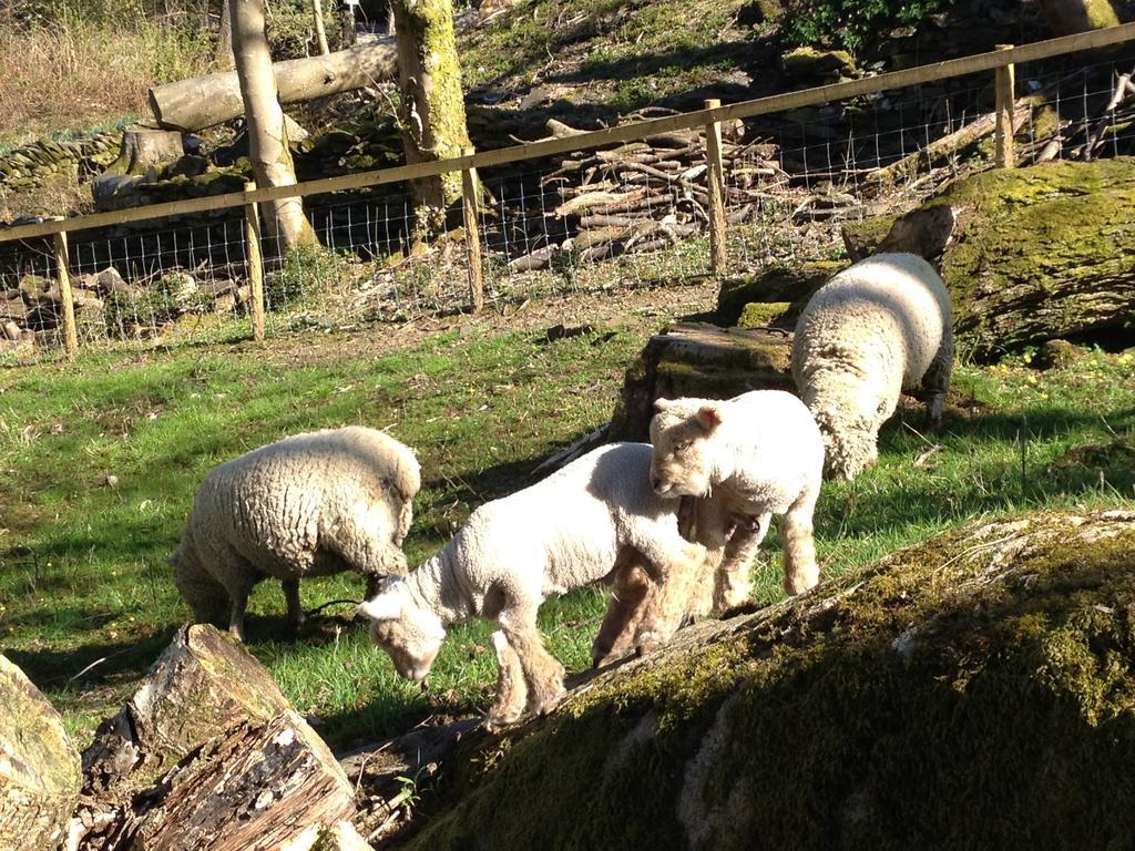 Thorney How Ambleside Eksteriør billede