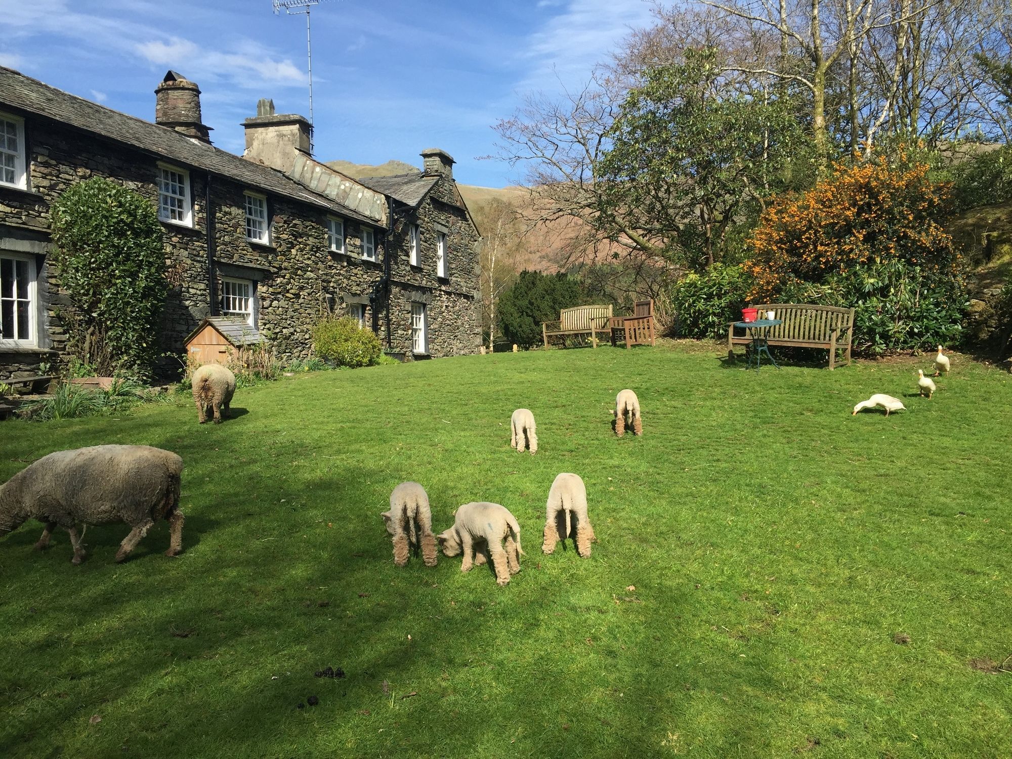 Thorney How Ambleside Eksteriør billede